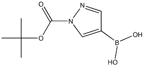 1-tert-Butoxycarbonyl-1H-pyrazole-4-boronic acid CAS#: 947533-31-5