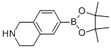 1,2,3,4-TETRAHYDRO-6-(4,4,5,5-TETRAMETHYL-1,3,2-DIOXABOROLAN-2-YL)-ISOQUINOLINE CAS#: 922718-55-6