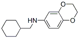 1,4-Benzodioxin-6-amine, N-(cyclohexylmethyl)-2,3-dihydro- CAS#: 940366-76-7