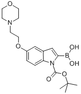 1H-Indole-1-carboxylic acid, 2-borono-5-[2-(4-morpholinyl)ethoxy]-, 1-(1,1-dimethylethyl) ester CAS#: 913388-60-0