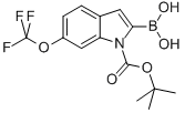 1H-Indole-1-carboxylic acid, 2-borono-6-(trifluoromethoxy)-, 1-(1,1-dimethylethyl) ester CAS#: 906644-32-4