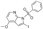 1H-Pyrrolo[2,3-b]pyridine, 2-iodo-4-Methoxy-1-(phenylsulfonyl)- CAS#: 916574-88-4