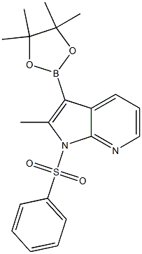 1H-Pyrrolo[2,3-b]pyridine, 2-methyl-1-(phenylsulfonyl)-3-(4,4,5,5-tetramethyl-1,3,2-dioxaborolan-2-yl)- CAS#: 943324-08-1
