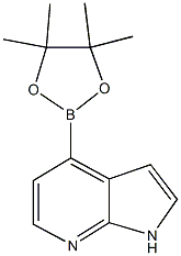 1H-Pyrrolo[2,3-b]pyridine, 4-(4,4,5,5-tetramethyl-1,3,2-dioxaborolan-2-yl)- CAS#: 942919-26-8