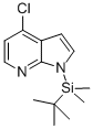 1H-Pyrrolo[2,3-b]pyridine, 4-chloro-1-[(1,1-dimethylethyl)dimethylsilyl]- CAS#: 937796-62-8