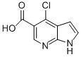 1H-Pyrrolo[2,3-b]pyridine-5-carboxylic acid, 4-chloro- CAS#: 920966-03-6