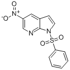 1H-Pyrrolo[2,3-b]pyridine, 5-nitro-1-(phenylsulfonyl)- CAS#: 937012-11-8
