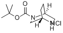 (1S,4S)-2-BOC-2,5-DIAZABICYCLO[2.2.2]OCTANE HYDROCHLORIDE CAS#: 944086-67-3
