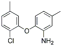 2-(2-CHLORO-5-METHYLPHENOXY)-5-METHYLPHENYLAMINE CAS#: 946728-32-1