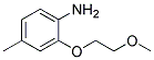 2-(2-METHOXYETHOXY)-4-METHYLANILINE CAS#: 946716-14-9