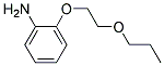 2-(2-PROPOXYETHOXY)ANILINE CAS#: 937695-98-2