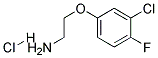 2-(3-CHLORO-4-FLUOROPHENOXY)ETHYLAMINEHYDROCHLORIDE CAS#: 914086-51-4