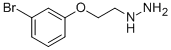 [2-(3-bromophenoxy)ethyl]hydrazine CAS#: 926195-07-5