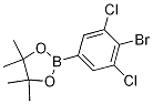 2-(4-Bromo-3,5-dichlorophenyl)-4,4,5,5-tetramethyl-1,3,2-dioxaborolane CAS#: 942069-45-6