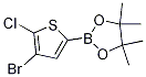 2-(4-Bromo-5-chlorothiophen-2-yl)-4,4,5,5-tetramethyl-1,3,2-dioxaborolane CAS#: 942070-02-2