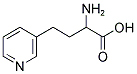 2-AMINO-3-PYRIDINEBUTANOIC ACID CAS#: 99461-41-3