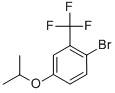 2-BROMO-5-ISOPROPOXYBENZOTRIFLUORIDE CAS#: 914635-70-4