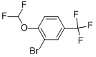 2-Bromo-1-difluoromethoxy-4-trifluoromethyl-benzene CAS#: 954236-03-4