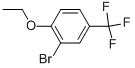 2-Bromo-1-ethoxy-4-trifluoromethyl-benzene CAS#: 934495-35-9
