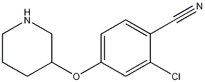 2-CHLORO-4-(3-PIPERIDINYLOXY)BENZONITRILE CAS#: 902836-92-4