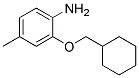 2-(CYCLOHEXYLMETHOXY)-4-METHYLANILINE CAS#: 946716-10-5