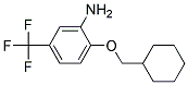 2-(CYCLOHEXYLMETHOXY)-5-(TRIFLUOROMETHYL)ANILINE CAS#: 937596-86-6
