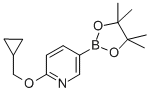 2-(CYCLOPROPYLMETHOXY)-5-(4,4,5,5-TETRAMETHYL-1,3,2-DIOXABOROLAN-2-YL)PYRIDINE CAS#: 947191-69-7