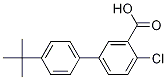 2-Chloro-5-(4-t-butylphenyl)benzoic acid CAS#: 926201-32-3