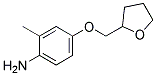2-METHYL-4-(TETRAHYDRO-2-FURANYLMETHOXY)ANILINE CAS#: 926259-32-7
