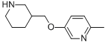 2-METHYL-5-(3-PIPERIDINYLMETHOXY)PYRIDINE CAS#: 914299-47-1