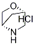 2-Oxa-5-azabicyclo[2.2.1]heptane, hydrochloride (1:1) CAS#: 909186-56-7