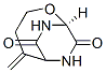 2-Oxa-7,9-diazabicyclo[4.2.2]decane-8,10-dione,5-methylene-,(1S)-(9CI) CAS#: 98975-16-7