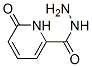 2-Pyridinecarboxylic acid, 1,6-dihydro-6-oxo-, hydrazide CAS#: 956386-24-6