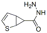 2-Thiabicyclo[3.1.0]hex-3-ene-6-carboxylic  acid,  hydrazide CAS#: 99418-03-8