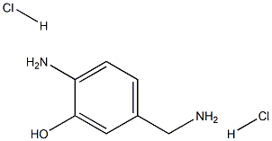 2-amino-5-(aminomethyl)phenol dihydrochloride CAS#: 943751-53-9