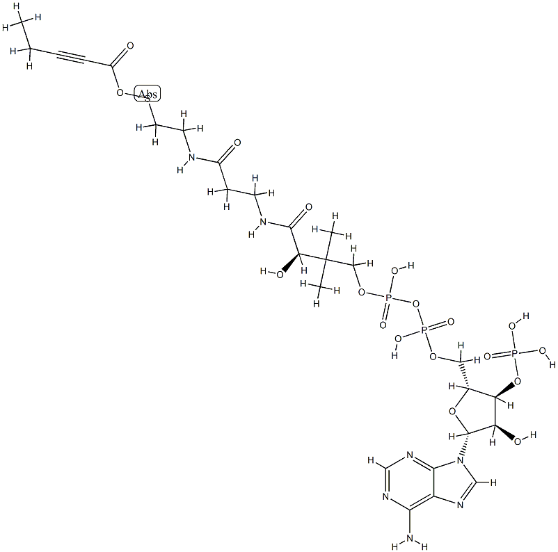 2-pentynoyl-coenzyme A CAS#: 98482-18-9