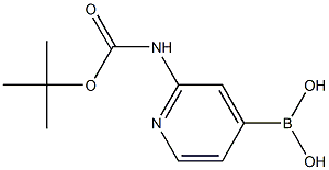 2-(tert-ButoxycarbonylaMino)pyridin-4-ylboronic acid CAS#: 903513-59-7