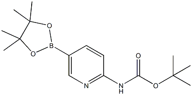 2-(tert-butoxycarbonylamino)pyridine-5-boronic acid, pinacol ester CAS#: 910462-31-6