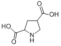 2,4-PYRROLIDINEDICARBOXYLIC ACID CAS#: 99319-03-6