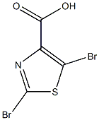 2,5-DIBROMO-THIAZOLE-4-CARBOXYLIC ACID CAS#: 943735-44-2