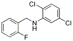 2,5-Dichloro-N-(2-fluorobenzyl)aniline, 97% CAS#: 940367-81-7