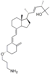 25-Hydroxy VitaMin D2 3,3'-AMinopropyl Ether CAS#: 932023-11-5