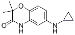 2H-1,4-Benzoxazin-3(4H)-one, 6-(cyclopropylamino)-2,2-dimethyl- CAS#: 944143-12-8