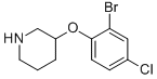 3-(2-Bromo-4-chloro-phenoxy)-piperidine CAS#: 954225-61-7