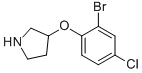 3-(2-Bromo-4-chloro-phenoxy)-pyrrolidine CAS#: 954225-65-1