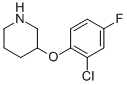 3-(2-CHLORO-4-FLUOROPHENOXY)PIPERIDINE CAS#: 946680-99-5