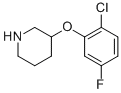 3-(2-CHLORO-5-FLUOROPHENOXY)PIPERIDINE CAS#: 946759-52-0