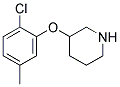 3-(2-CHLORO-5-METHYLPHENOXY)PIPERIDINE CAS#: 902837-30-3