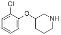 3-(2-CHLOROPHENOXY)PIPERIDINE CAS#: 902837-29-0