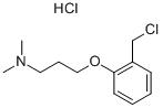 3-[2-(Chloromethyl)phenoxy]-N,N-dimethylpropylamine hydrochloride CAS#: 930111-03-8